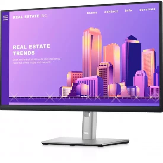 Dell 24 Monitor – P2422H image